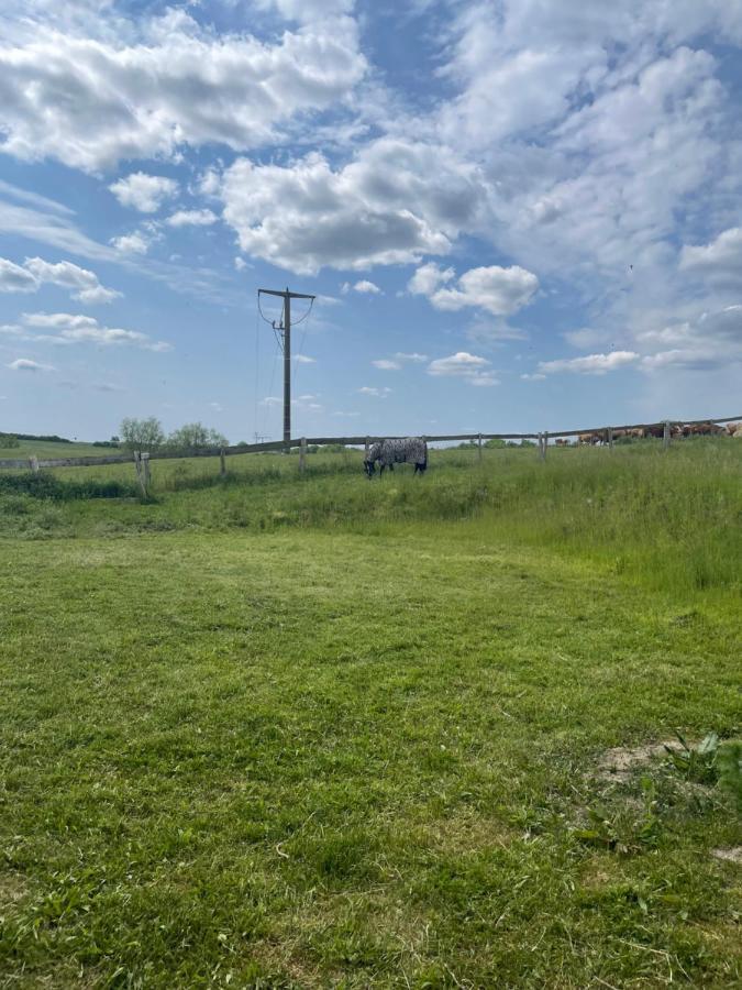Ferienwohnung Mit Kamin Und Traumhafter Dachterrasse Mit Weitblick In Die Natur Neu Gaarz Exterior foto